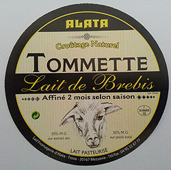 Tommette